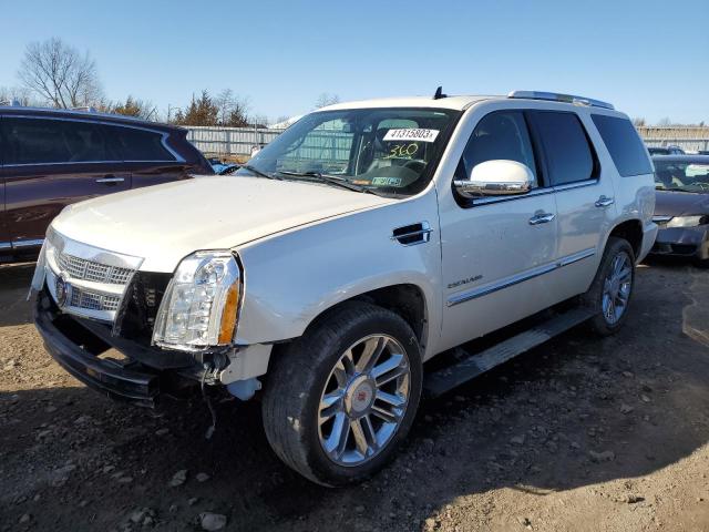 1GYS4DEF4BR311599 - 2011 CADILLAC ESCALADE PLATINUM WHITE photo 1