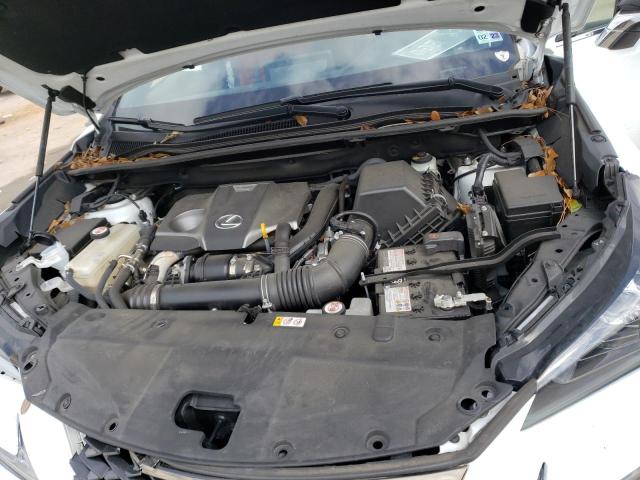 JTJSARBZ9M5023434 - 2021 LEXUS NX 300 BASE Biały zdjęcie 12