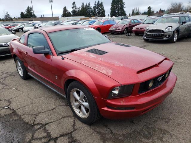 1ZVHT80N985157087 - 2008 FORD MUSTANG RED photo 4