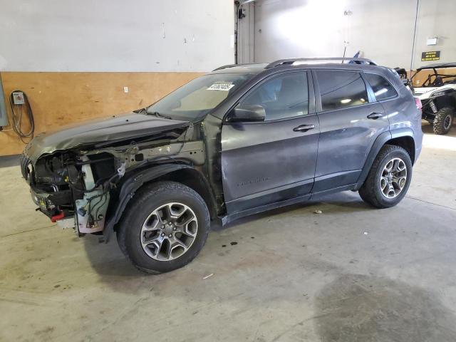 1C4PJMBX8LD628575 - 2020 JEEP CHEROKEE TRAILHAWK GRAY photo 1