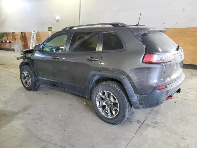 1C4PJMBX8LD628575 - 2020 JEEP CHEROKEE TRAILHAWK GRAY photo 2