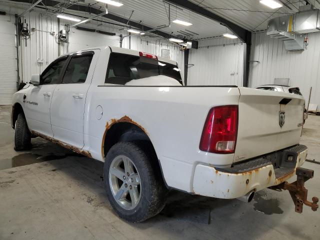 1D7RV1CT1BS685045 - 2011 DODGE RAM 1500 WHITE photo 2