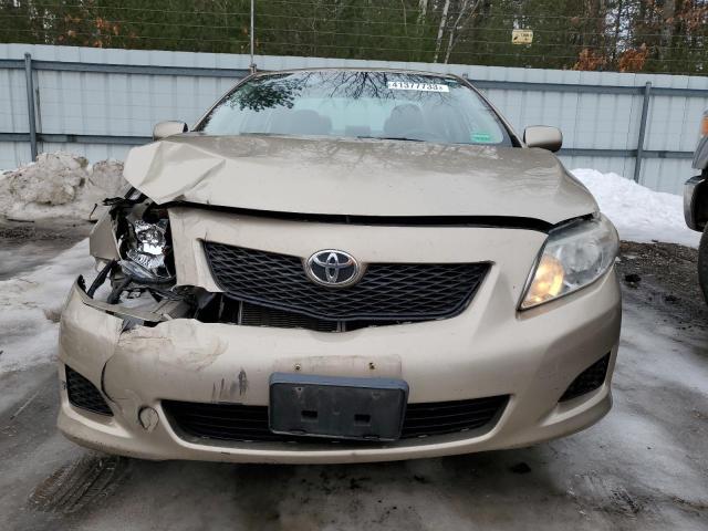 1NXBU40E49Z068822 - 2009 TOYOTA COROLLA BASE GOLD photo 5