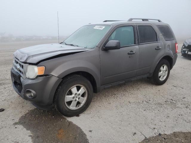 1FMCU0D76BKB20994 - 2011 FORD ESCAPE XLT GRAY photo 1