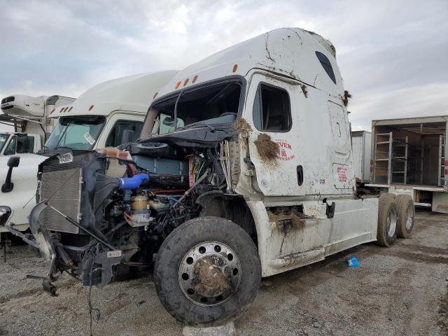 1FUJGLDR8DSBV4150 - 2013 FREIGHTLINER CASCADIA 1 WHITE photo 2