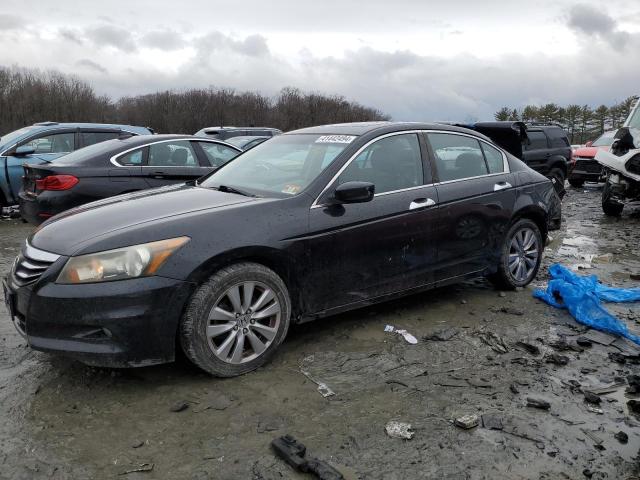 1HGCP3F83BA023407 - 2011 HONDA ACCORD EXL BLACK photo 1