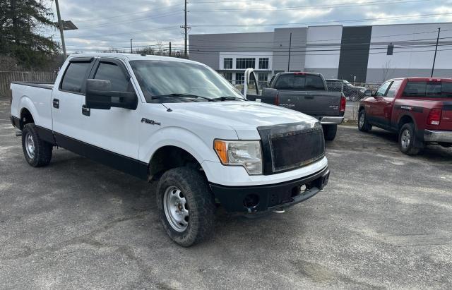 2011 FORD F150 SUPERCREW, 