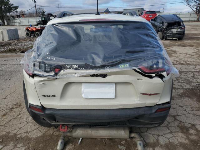 1C4PJMBX6KD261027 - 2019 JEEP CHEROKEE TRAILHAWK WHITE photo 6