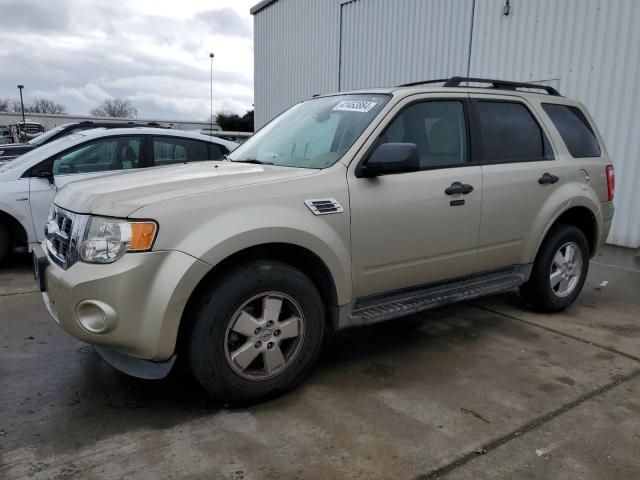 2012 FORD ESCAPE XLT, 