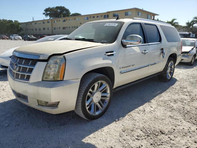 1GYFC36249R171039 - 2009 CADILLAC ESCALADE ESV PLATINUM თეთრი ფოტო 1