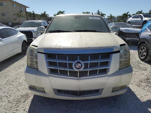 1GYFC36249R171039 - 2009 CADILLAC ESCALADE ESV PLATINUM თეთრი ფოტო 5