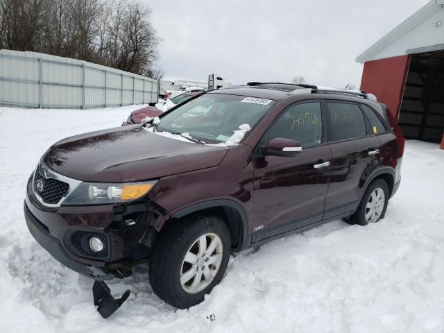 5XYKTCA66CG273866 - 2012 KIA SORENTO BASE MAROON photo 1