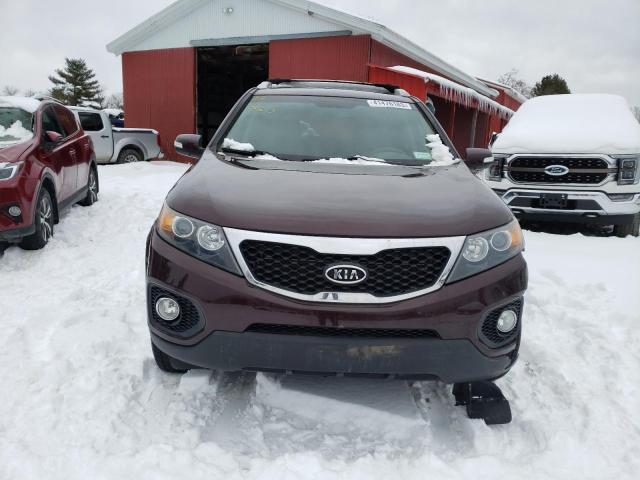 5XYKTCA66CG273866 - 2012 KIA SORENTO BASE MAROON photo 5