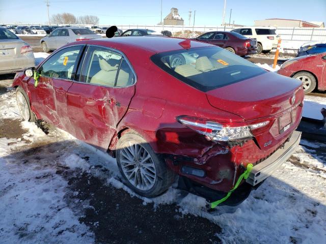 4T1F11AK4LU958743 - 2020 TOYOTA CAMRY XLE RED photo 2