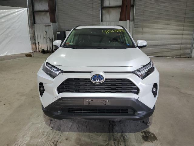 JTMB6RFV2PJ031754 - 2023 TOYOTA RAV4 XLE PREMIUM WHITE photo 5