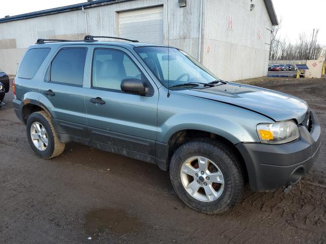 1FMYU03ZX7KB51939 - 2007 FORD ESCAPE XLT GREEN photo 4