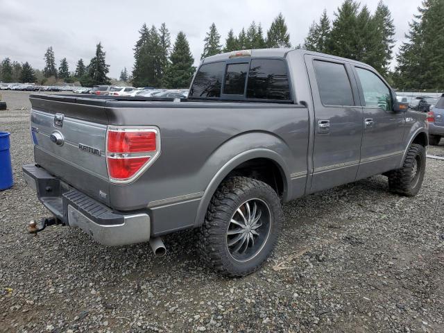 1FTFW1EV8AFA38786 - 2010 FORD F150 SUPERCREW GRAY photo 3