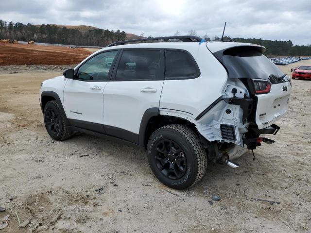 1C4PJMBX9ND548494 - 2022 JEEP CHEROKEE TRAILHAWK WHITE photo 2