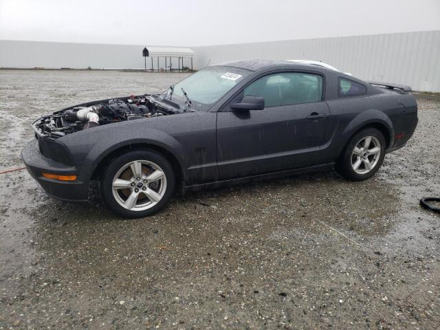 1ZVHT82H575251036 - 2007 FORD MUSTANG GT BLACK photo 1