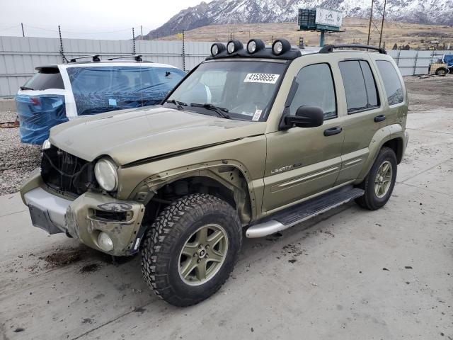 1J4GL38K42W358757 - 2002 JEEP LIBERTY RENEGADE 绿色 照片 1