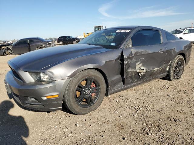 1ZVBP8AM5E5204644 - 2014 FORD MUSTANG GRAY photo 1