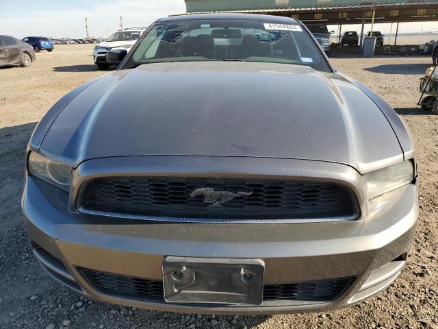 1ZVBP8AM5E5204644 - 2014 FORD MUSTANG GRAY photo 5