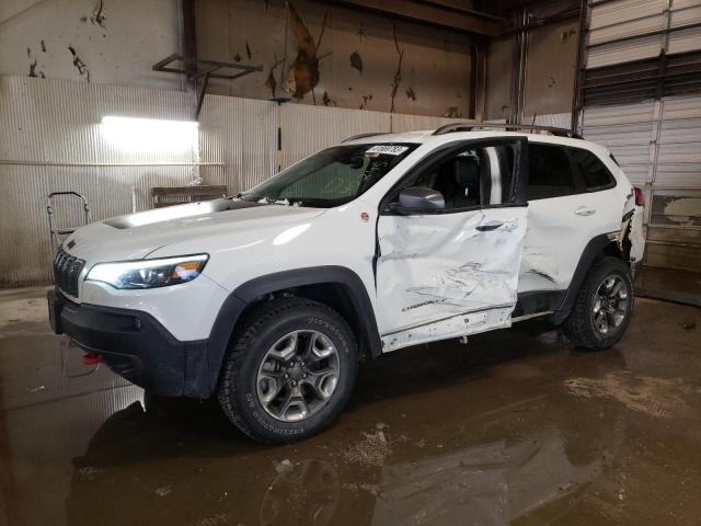 1C4PJMBX5KD407353 - 2019 JEEP CHEROKEE TRAILHAWK WHITE photo 1