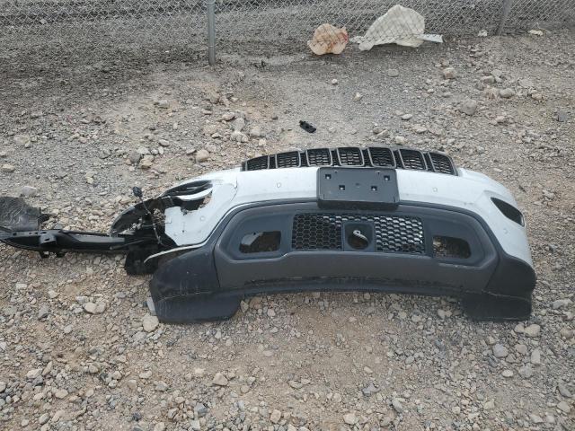 1C4RJFLG8KC670509 - 2019 JEEP GRAND CHER TRAILHAWK 白色 照片 12