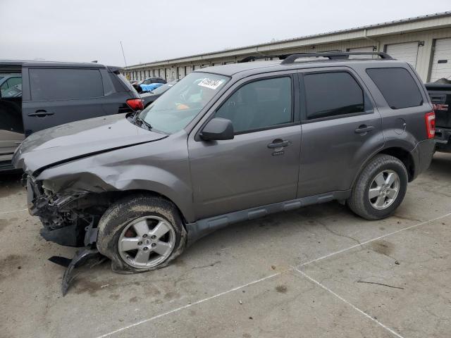 1FMCU0DG9CKA13696 - 2012 FORD ESCAPE XLT GRAY photo 1