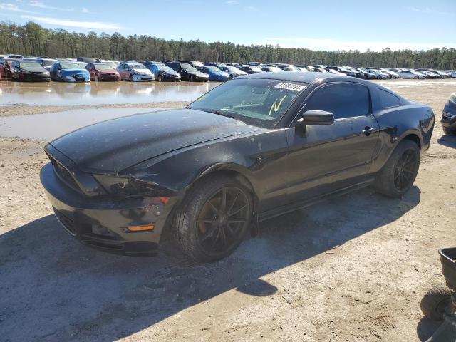 1ZVBP8AM9D5270502 - 2013 FORD MUSTANG BLACK photo 1