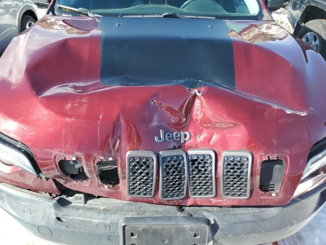 1C4PJMBX8KD374459 - 2019 JEEP CHEROKEE TRAILHAWK 栗色 照片 11