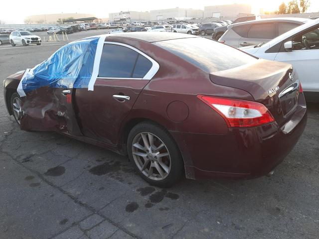 1N4AA51E69C848913 - 2009 NISSAN MAXIMA S BURGUNDY photo 2