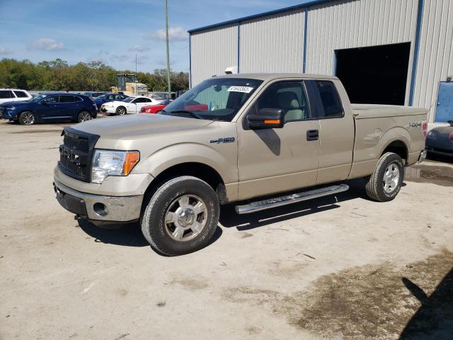 1FTEX1E8XAKE31022 - 2010 FORD F150 SUPER CAB GOLD photo 1