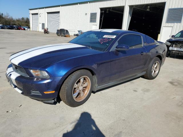 1ZVBP8AM6B5164148 - 2011 FORD MUSTANG BLUE photo 1