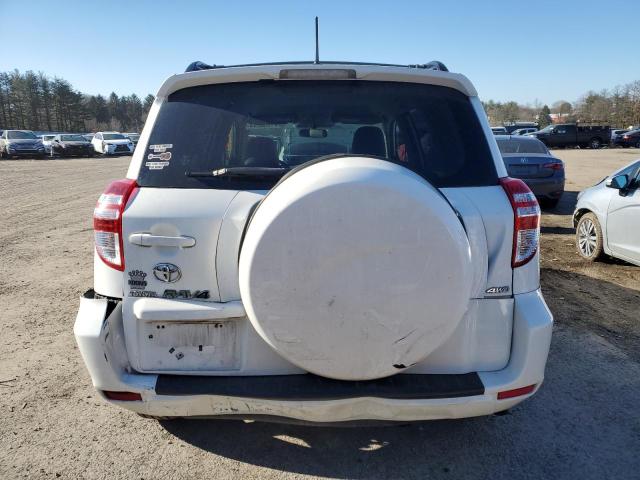 JTMBF4DV6AD030599 - 2010 TOYOTA RAV4 WHITE photo 6