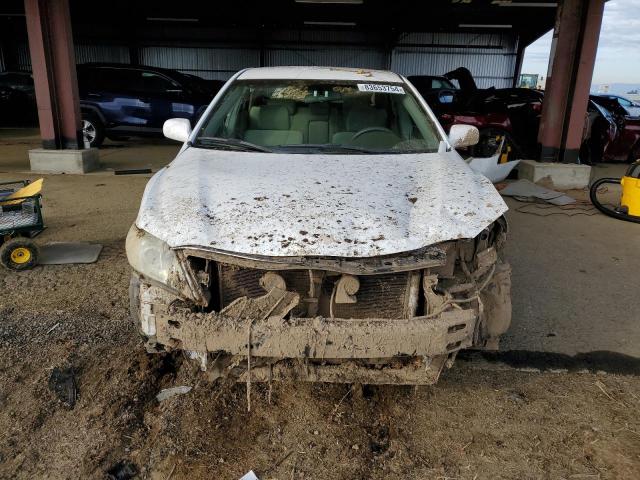 4T1BK46K48U562146 - 2008 TOYOTA CAMRY LE أبيض صورة 5