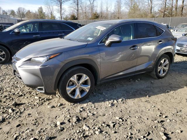 JTJBJRBZ6H2066653 - 2017 LEXUS NX 300H GRAY photo 1