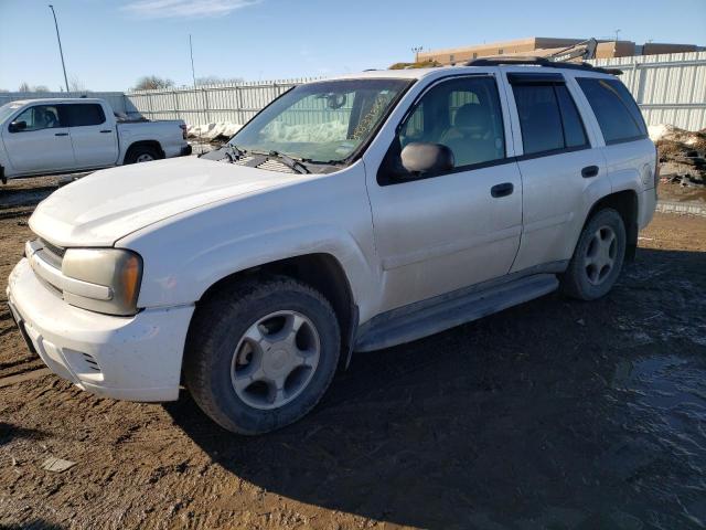 1GNDT13S982253594 - 2008 CHEVROLET TRAILBLAZE LS WHITE photo 1