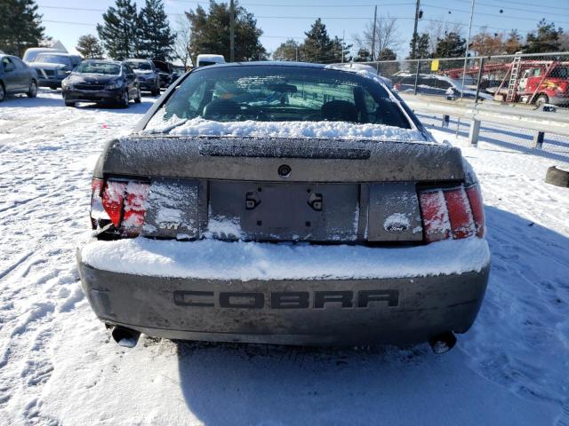 1FAFP48Y63F343555 - 2003 FORD MUSTANG COBRA SVT GRAY photo 6