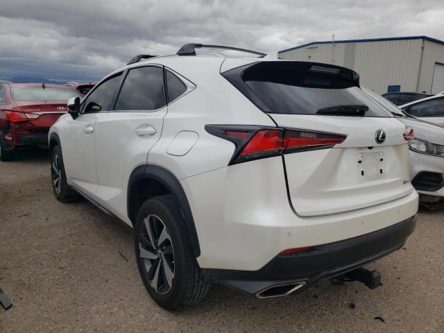 JTJGARBZ4M5033262 - 2021 LEXUS NX 300 BASE 白色 照片 2