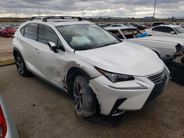 JTJGARBZ4M5033262 - 2021 LEXUS NX 300 BASE 白色 照片 4