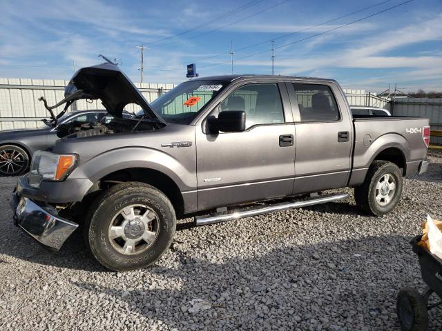 1FTFW1ET6DFA95636 - 2013 FORD F150 SUPERCREW GRAY photo 1