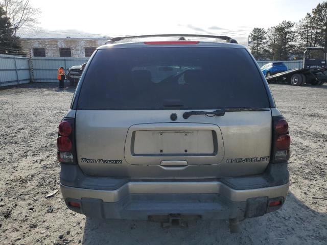 1GNDT13S532348758 - 2003 CHEVROLET TRAILBLAZE TAN photo 6