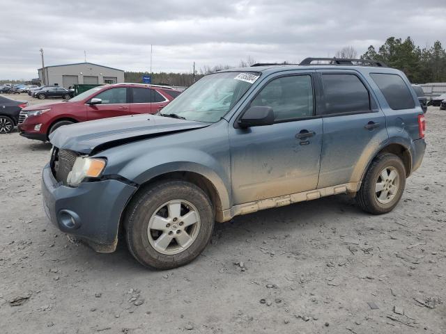 2010 FORD ESCAPE XLT, 