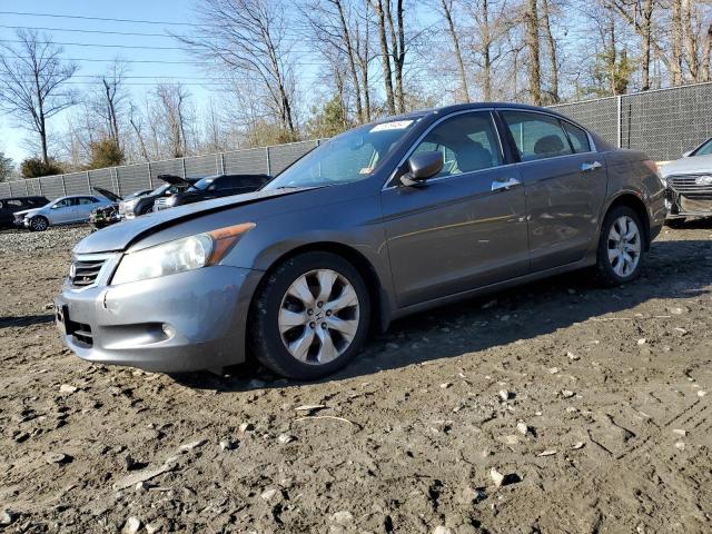 1HGCP36808A029156 - 2008 HONDA ACCORD EXL GRAY photo 1