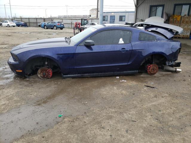 1ZVBP8AN7A5137239 - 2010 FORD MUSTANG BLUE photo 1