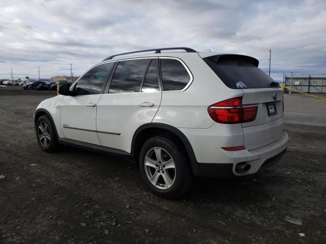 5UXZW0C59D0B95133 - 2013 BMW X5 XDRIVE35D WHITE photo 2