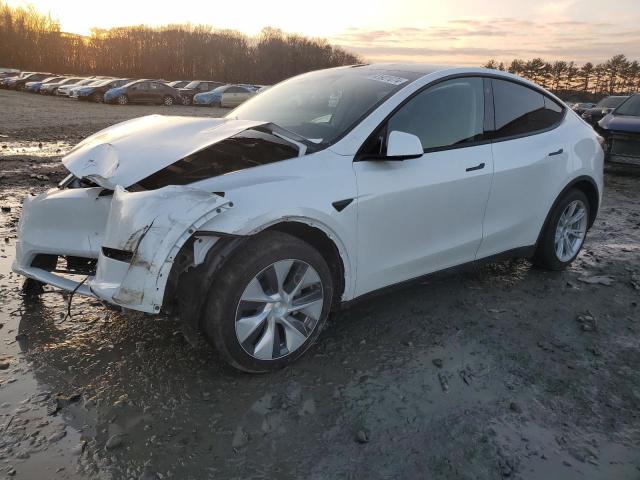 7SAYGDEE1PF785119 - 2023 TESLA MODEL Y WHITE photo 1