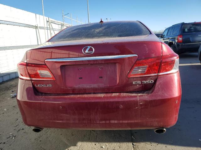 JTHBK1EG8A2391160 - 2010 LEXUS ES 350 RED photo 6