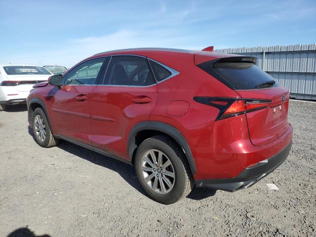 JTJDARDZ2M5026651 - 2021 LEXUS NX 300 BASE 红色 照片 2